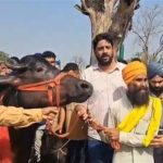 71ਵੇਂ ਰਾਸ਼ਟਰੀ ਫਿਲਮ ਪੁਰਸਕਾਰ: ਸ਼ਾਹਰੁਖ ਤੇ ਰਾਣੀ ਨੂੰ ਪਹਿਲਾ ਸਨਮਾਨ