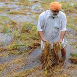 ਨਿਊਯਾਰਕ ਵਿੱਚ ਮਾਰੇ ਛਾਪੇ ਦੌਰਾਨ 57 ਲੋਕਾਂ ਨੂੰ ਹਿਰਾਸਤ ਵਿੱਚ ਲਿਆ